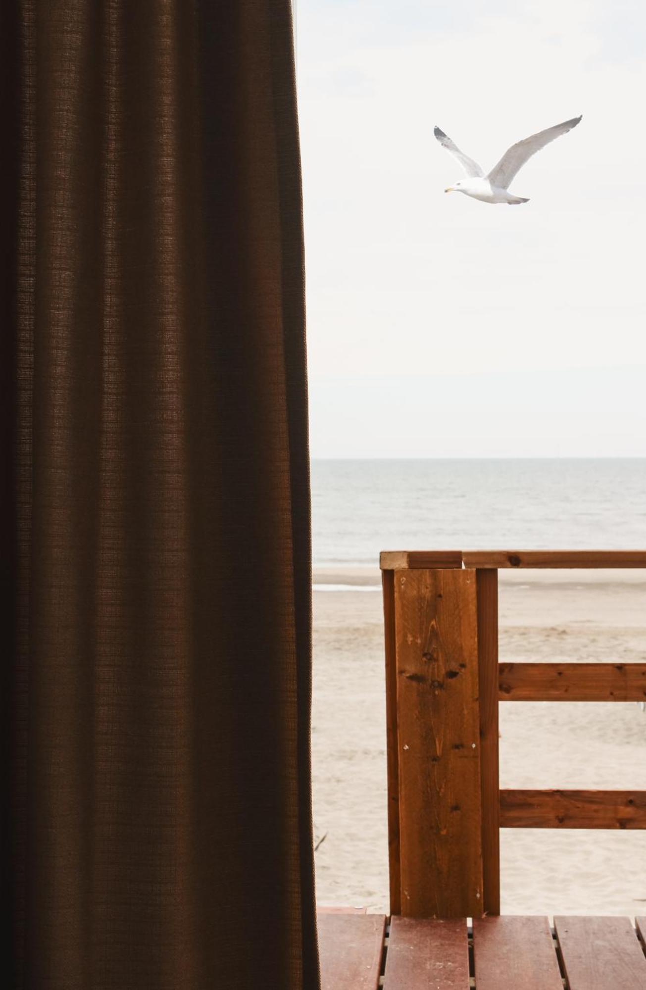 Strandhuisjes Zoomers Aan Zee Castricum Exterior photo